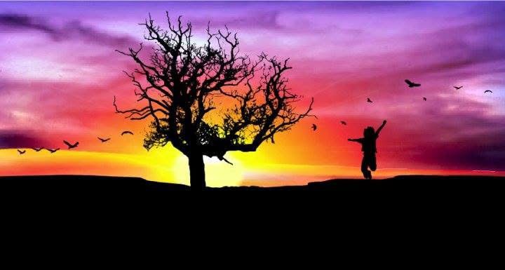 Toby and the Baconsthorpe Castle tree silhouetted against a colourful sunset